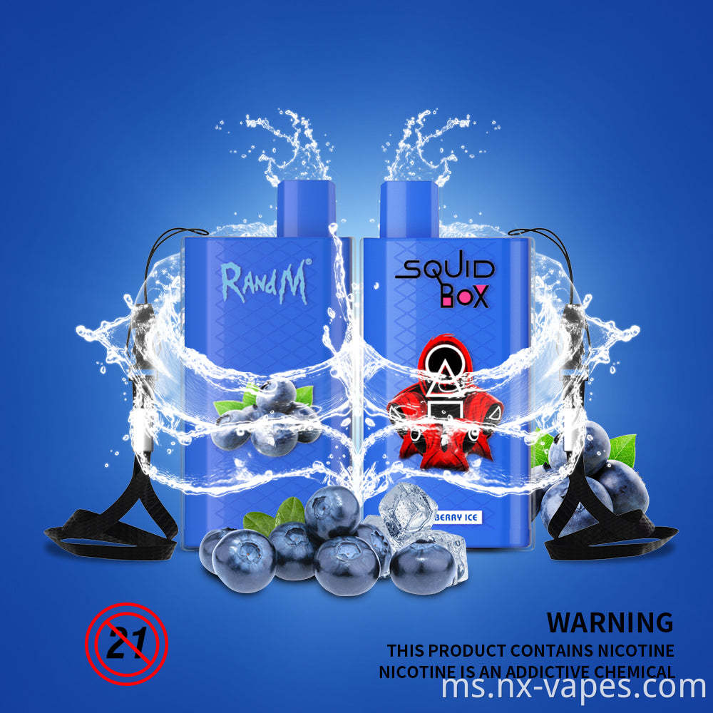 RandM Squid Box Disposable